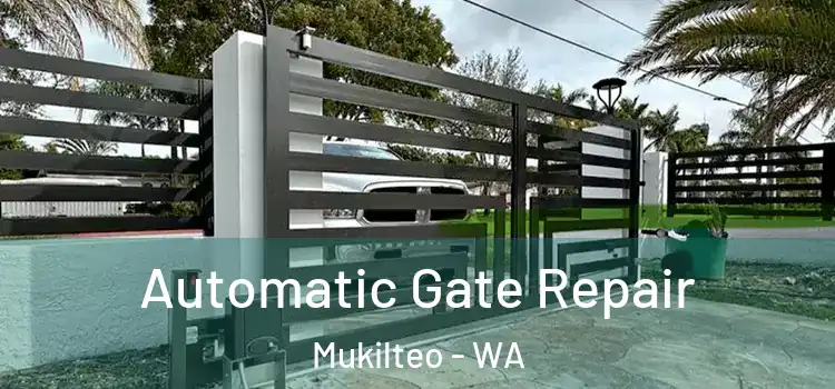 Automatic Gate Repair Mukilteo - WA