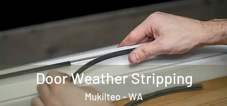 Door Weather Stripping Mukilteo - WA