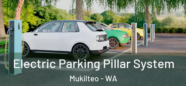 Electric Parking Pillar System Mukilteo - WA
