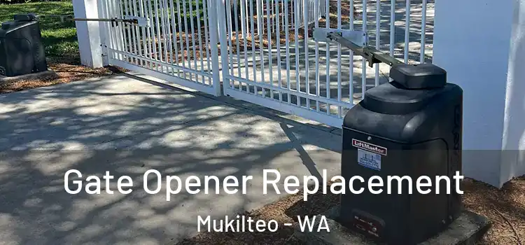 Gate Opener Replacement Mukilteo - WA