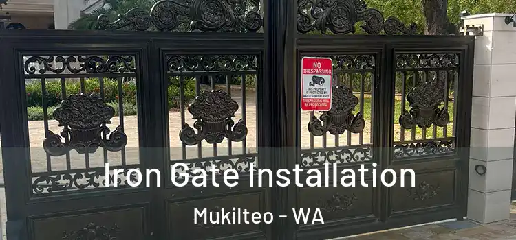 Iron Gate Installation Mukilteo - WA