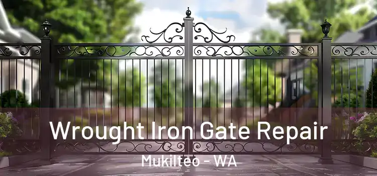 Wrought Iron Gate Repair Mukilteo - WA